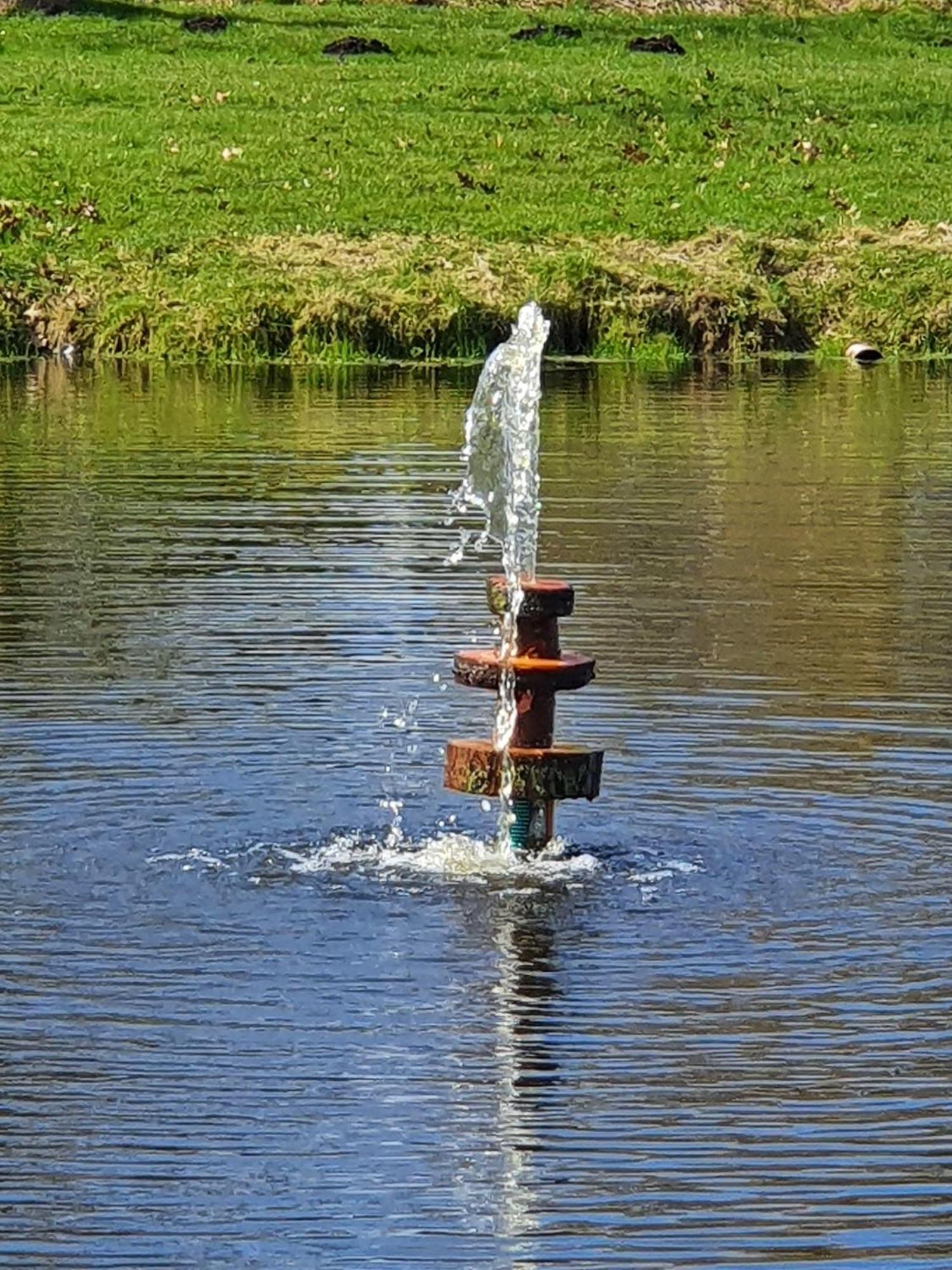 Idyllisches-Blockbohlenhaus-Mit-Eigenem-Garten-Und-Sauna-Zum-Wohlfuehlen Martensrade Luaran gambar