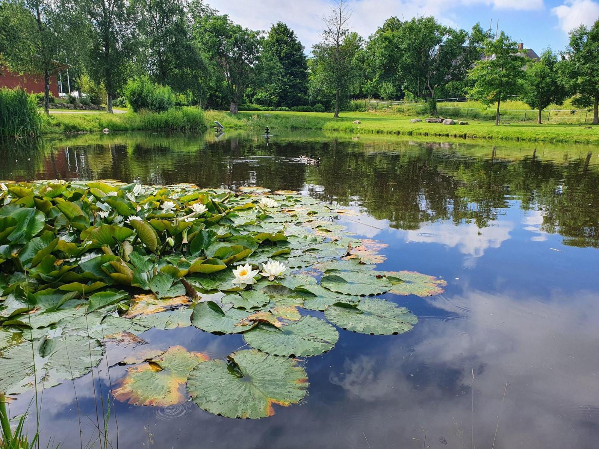Idyllisches-Blockbohlenhaus-Mit-Eigenem-Garten-Und-Sauna-Zum-Wohlfuehlen Martensrade Luaran gambar